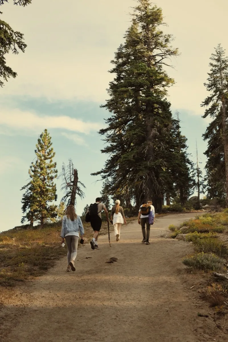 Walks Along Marked Trails