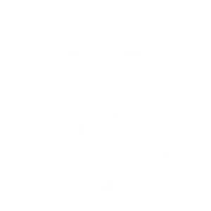 Vathyskia Logo